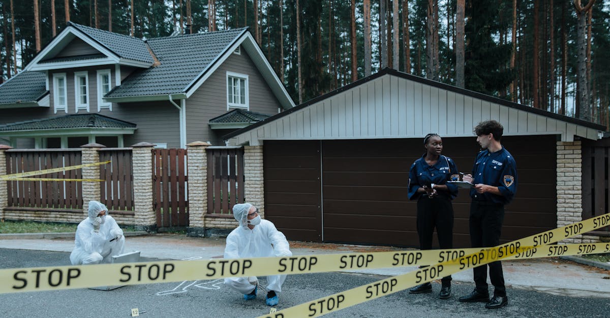 小鸟云实名账号：详情下载教程备用金详情下载教程APP