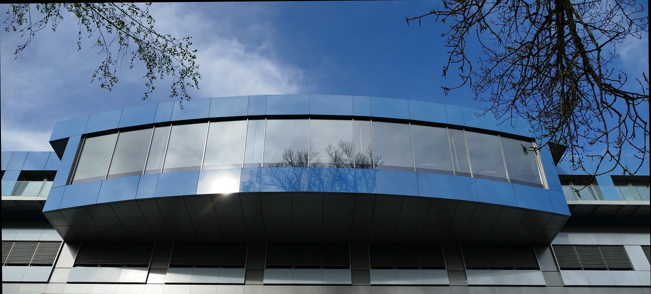 宝藏世界（国际版）：肥东代理招聘平台