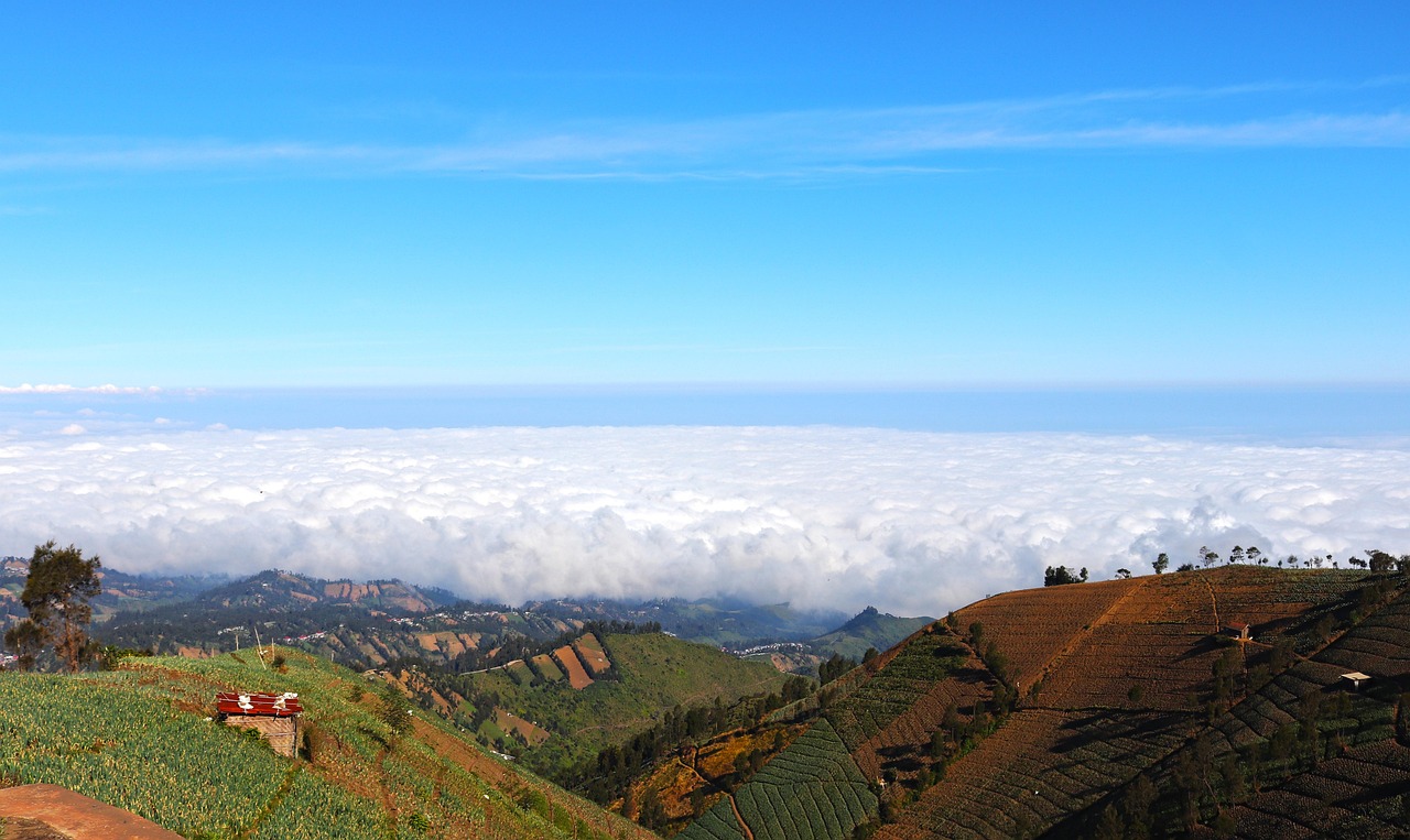 芒果星芒卡实名账号：代理广州工商注册