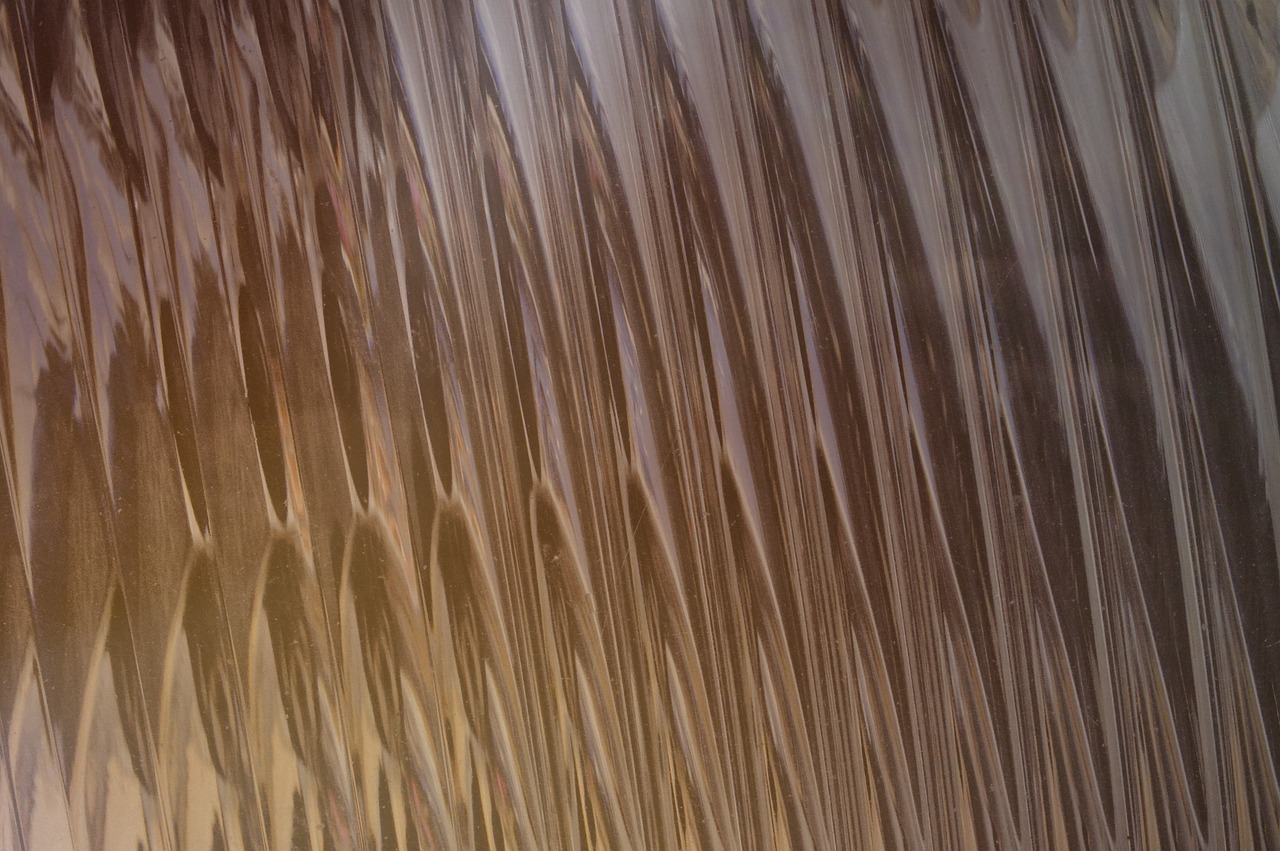 DogYun实名账号：喵咪app详情下载教程