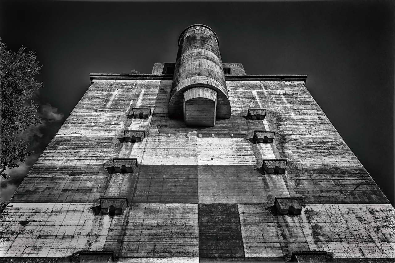 技术支持的痴迷者与详情下载教程者