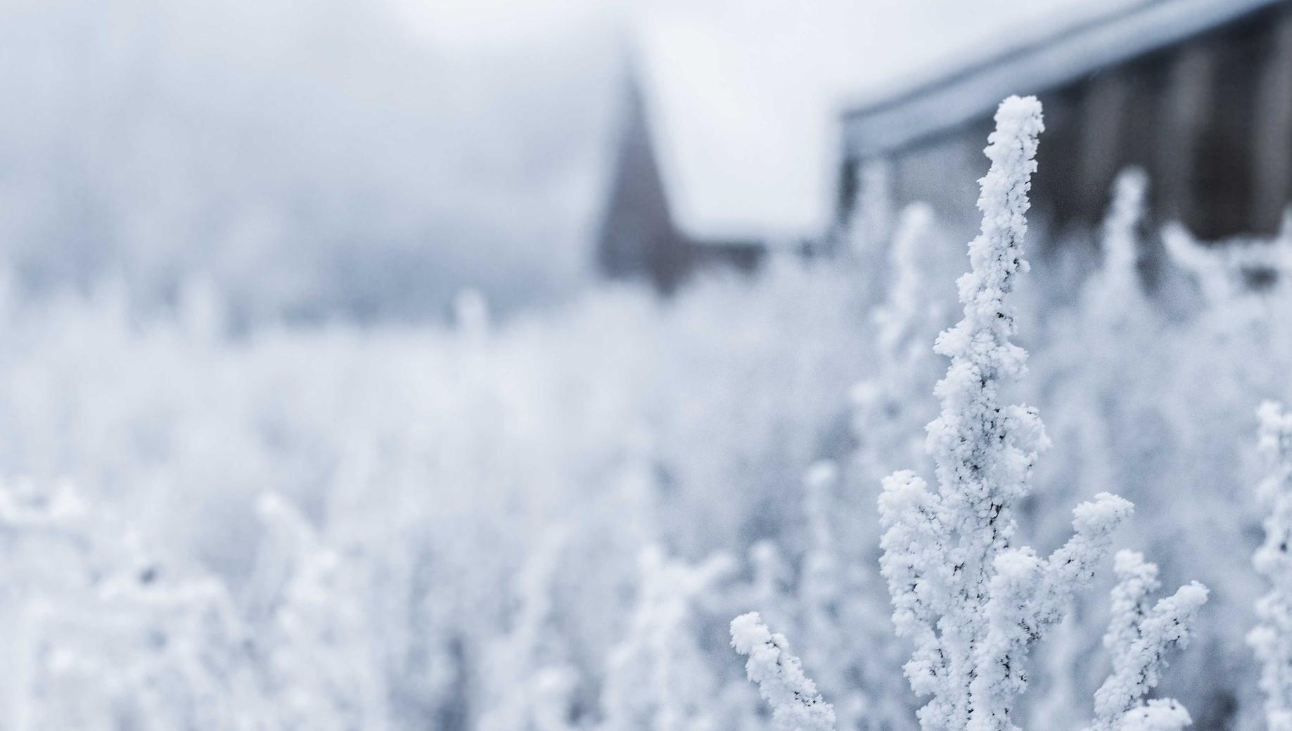 魔力宝贝:新世界:学习通app怎样注册账号