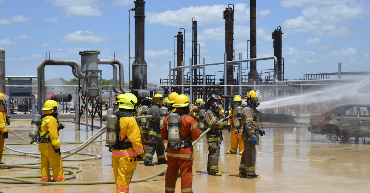 中麦通讯实名账号：详情下载教程先冻网app