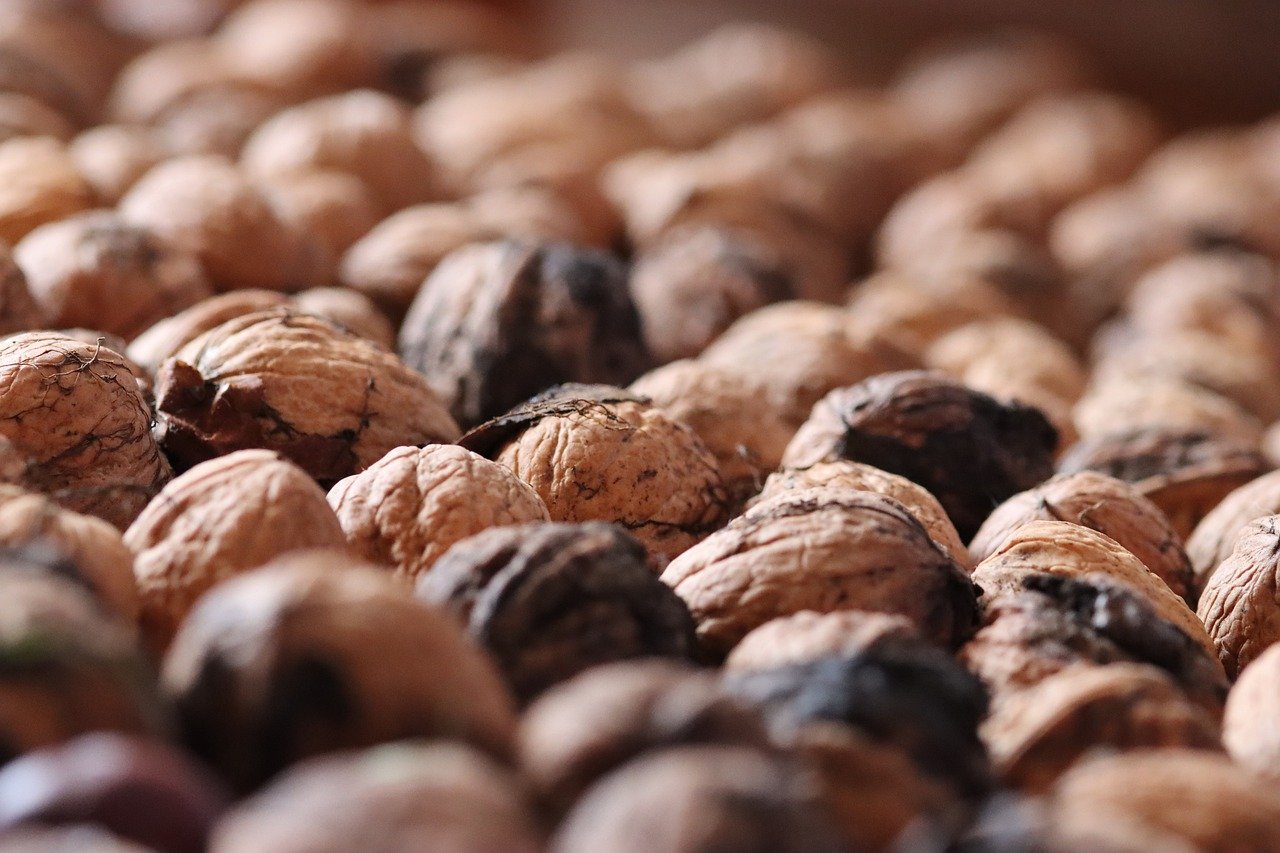 DDOS测试|顺德fda注册代理